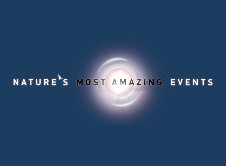 Nature's Most Amazing Event